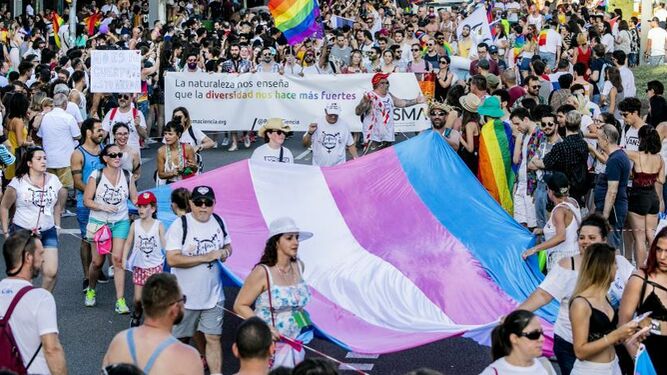 Ley Trans España