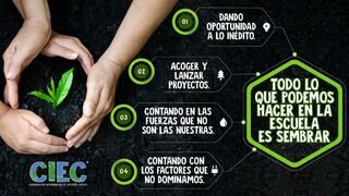 La escuela católica: un lugar para sembrar