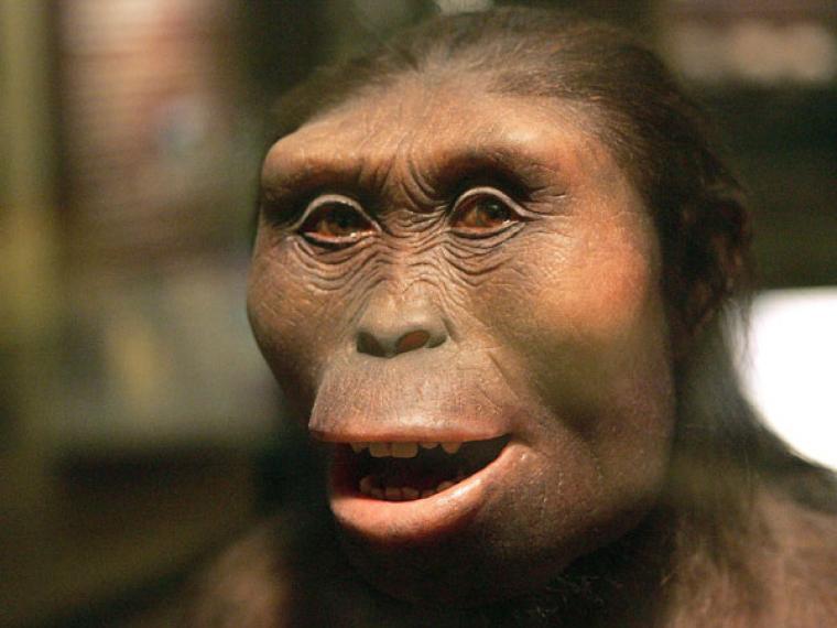 homo-erectus