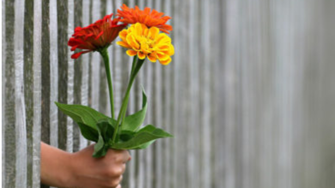 San Valentín