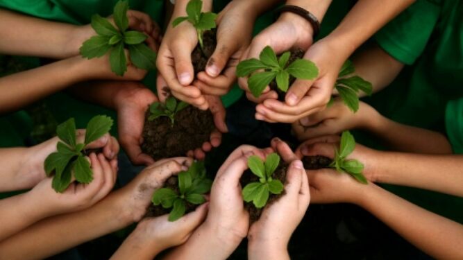 Educación y ecología