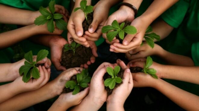 Educação e ecologia