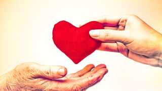 La vida del corazón