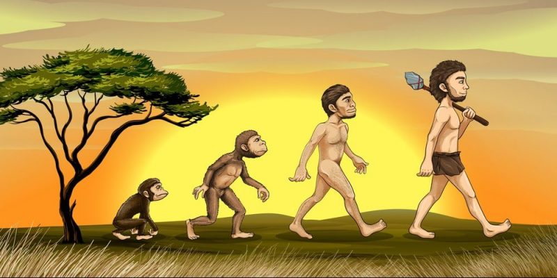 evolucion-del-hombre-e1534180281493