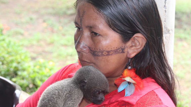 Amazonía y sus pueblos