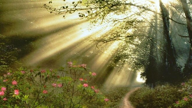 Camino