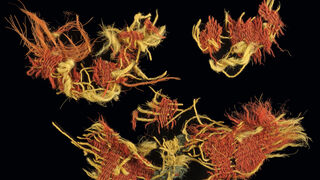 El color en la religión