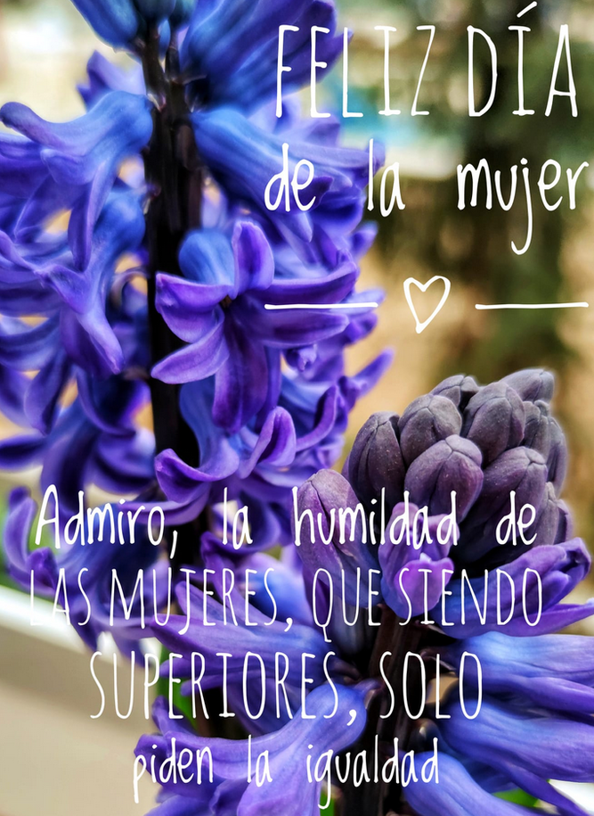 Dia de la mujer