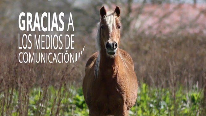 Medios