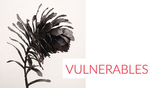 Vulnerables