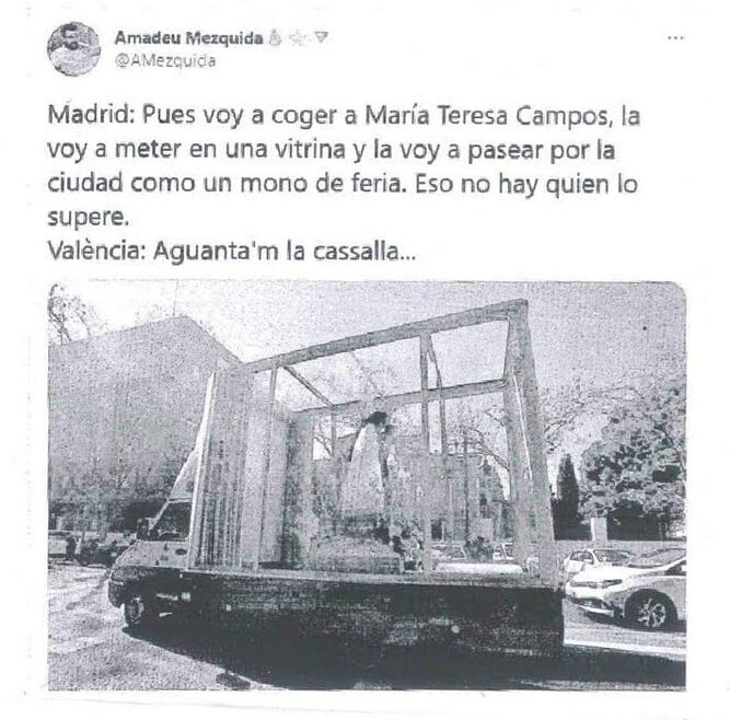 Tuit Mezquida