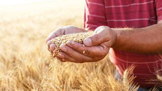 Queremos "ver" a Jesús, pero el de los evangelios
