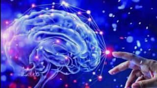 Talento y coaching ejecutivo