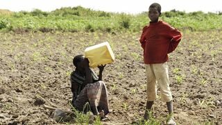 Jornada mundial del agua