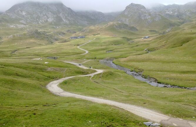 camino