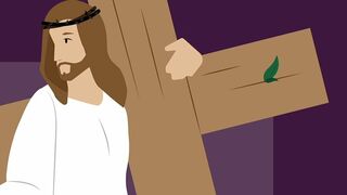 Vía Crucis a la luz de la Laudato si'