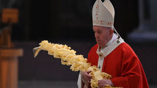 El Papa en el  Domingo de Ramos.