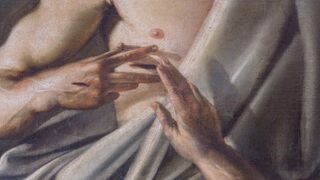 La belleza de las cicatrices