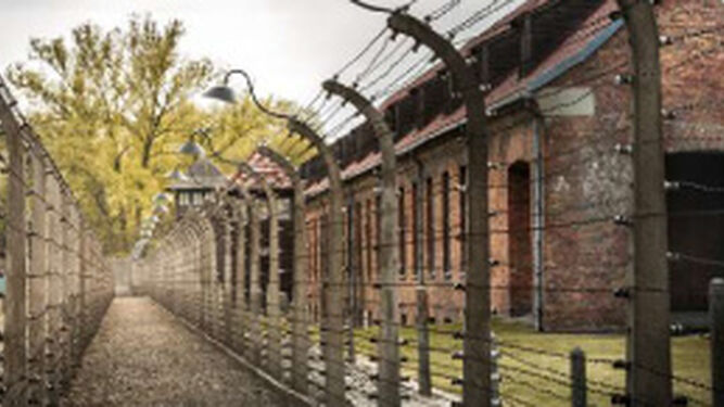 Challenge Auschwitz.