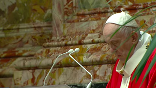 El Papa, durante la liturgia del Domingo de Ramos