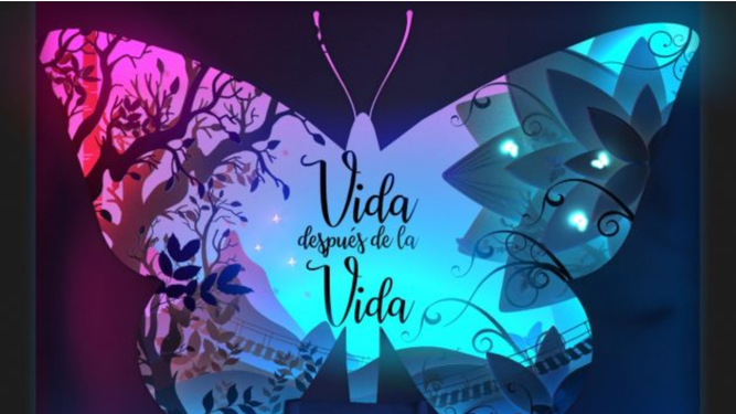 Vida