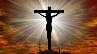 En la Cruz de Jesús se des-cubre la esperanza.