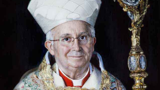 CardenalCañizares