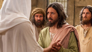 Hemos visto al Señor