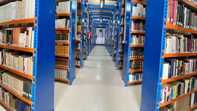 Biblioteca San Esteban