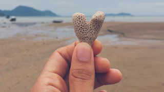 Vocación y seguimiento