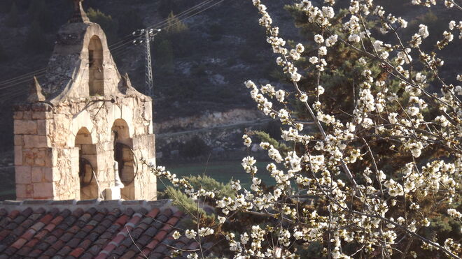 Camino de Luz: Vigesimocuarta etapa