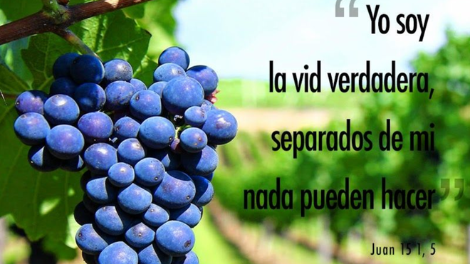 La vid