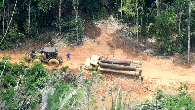 Tierra Indígena Karipuna siendo devastada. Foto Chico Batata/Greenpeace