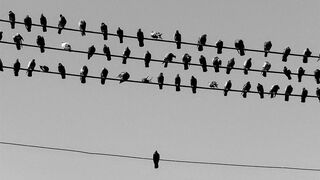 Los votos son efímeros, pero el rencor, duradero