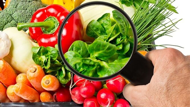 Alimentación