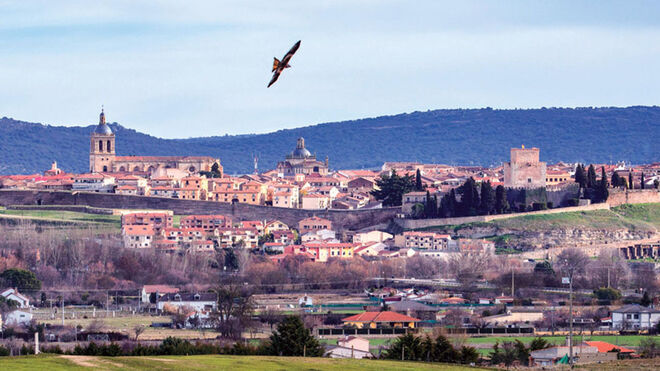 Ciudad Rodrigo