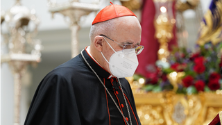 Osoro con mascarilla