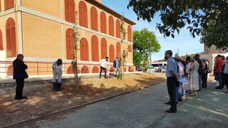 Plantación de los álamos en la Parroquia de la Aurora en Córdoba