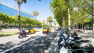 La mejora de la calidad del aire durante la primera ola de la COVID-19 evitó unas 150 muertes prematuras en las principales ciudades españolas
