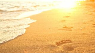 "Su amor lo descubren quienes le buscan"