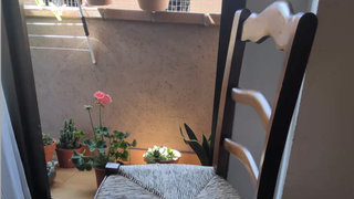 La sillita de Aleixandre