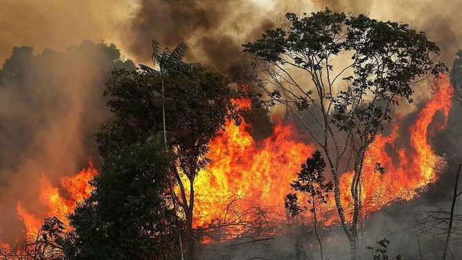 Incendios en la Amazonía brasileña