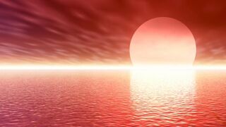 Ecología integral: Cuerpo de Cristo