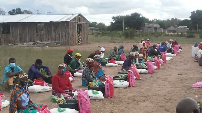 Conlicto de Cabo Delgado. Diócesis de Nacala