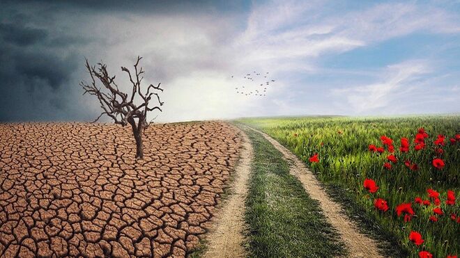 Reconstruir el ecosistema