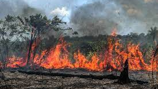 Incendios en la Amazonía