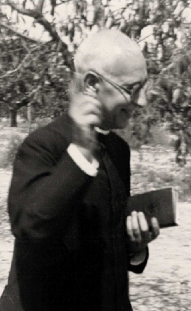 Don Vicent Garrido