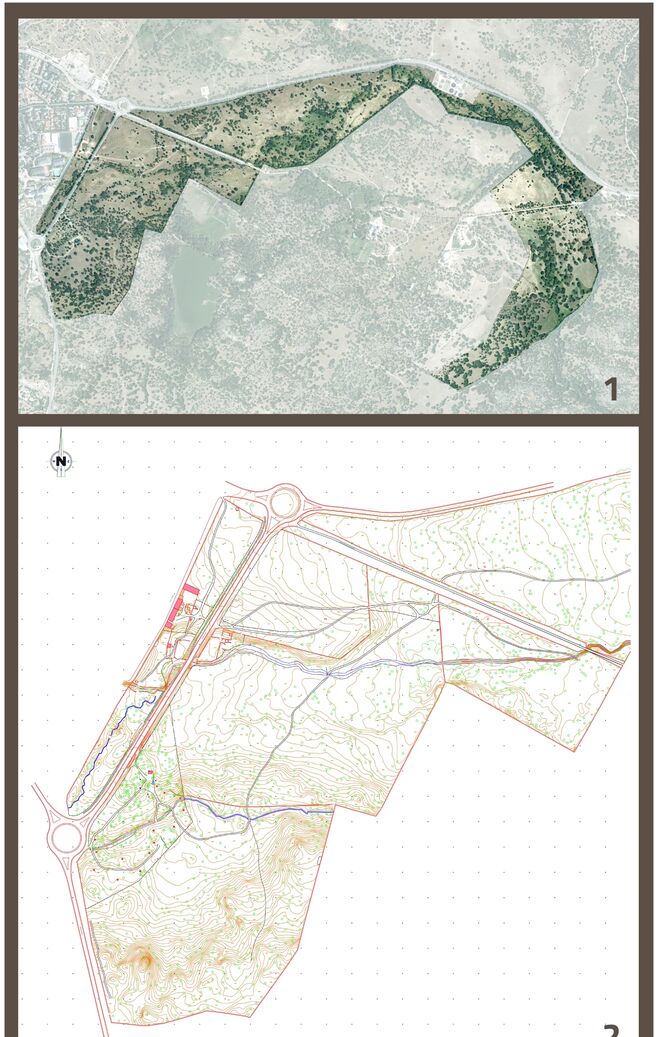 Proyecto de Prado Nuevo