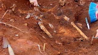 Tumba en los terrenos de Marieval