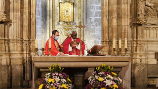 Cardenales Robert Sarah en Valencia